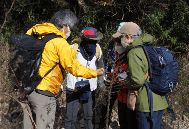 自然観察ガイドの様子